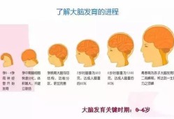 胎儿神经管发育时间（胎儿的神经管发育是什么时候）