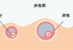 孕期例假（孕期例假和正常例假的区别）