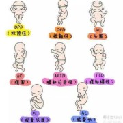 新生儿胎标是啥意思,胎儿生物学测量是什么意思