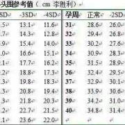 24周胎儿发育标准数据（怀孕24周胎儿双脑室增宽，怎么办）