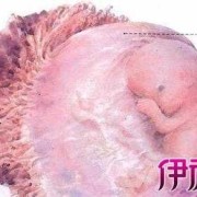 胎儿小9天（胎儿小9天严重吗）