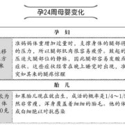 胎儿什么时候发育大脑（胎儿什么时候发育大脑智力）