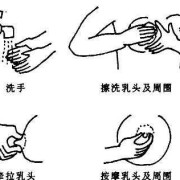 哺乳期间怎么清洗乳头？步骤是什么啊,孕期如何清洁乳头