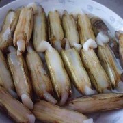 蛏子可以天天吃吗,孕妇吃蛏子对胎儿好吗视频