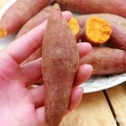 孕期可以吃红薯吗（孕期可以吃红薯吗会不会糖分高?）