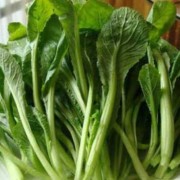 怀孕了可以吃芥菜吗,孕妇吃芥菜对胎儿有影响吗
