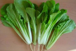 产妇能不能吃青菜,十大容易流产的蔬菜