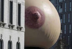 孕期乳房有硬块（乳房有肿块，鸡蛋大小，硬硬的，该怎么办呢，希望得到尽快解决）