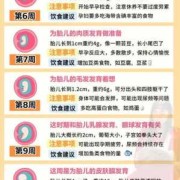 胎儿各周发育情况（孕周40周胎儿发育标准是多少？孕晚期多吃什么对胎儿有好处）