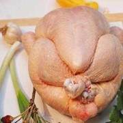 怀孕期间可以吃鸡肉吗（初期怀孕可以吃公鸡肉吗）