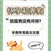 孕期如何养狗（家里有孕妇，可以养狗吗）