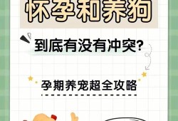 孕期如何养狗（家里有孕妇，可以养狗吗）