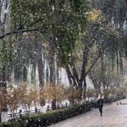 下雨或下雪、或雨夹雪结婚好了，怎么解释,孕期梦见下大雪什么预兆