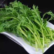 孕期能吃茼蒿吗（痛风能不能吃茼蒿吗）