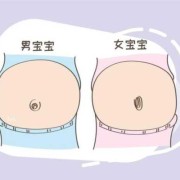 胎儿是男孩孕妇肚脐（孕妇怀男孩的肚脐都是凸的吗?）