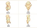 胎儿bdp（bpd是啥意思）