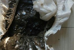 孕期便便黑色（怀孕后拉的便便一直是黑色的，怎么回事）