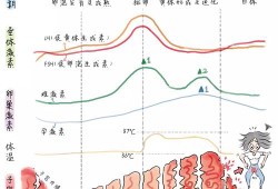 怀孕期间雌激素会高吗（为什么怀孕后乳房会变大，原理是什么）