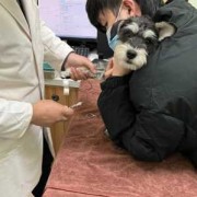 胎儿肾盂光带分离（胎儿肾盂光带分离什么意思）