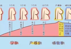 怀孕期间乳房胀痛正常吗（怀孕的最初征兆1-14天）