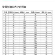 胎儿周期大小对应表（胎儿周期大小对应表图片）