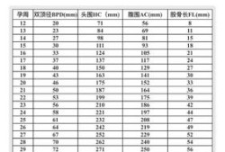 胎儿周期大小对应表（胎儿周期大小对应表图片）
