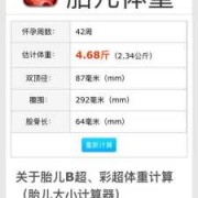 算胎儿体重计算器在线（最准确的胎儿体重计算公式）