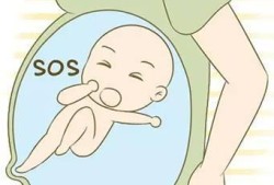 怀孕八个月了胎动鼓包一摸还可硬是怎么回事,孕8个周胎儿图片大全