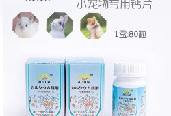 怀孕期间营养怎么补（兔子怀孕吃什么最有营养）