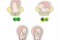 什么是胎儿打嗝?胎儿打嗝是什么感觉,胎儿打嗝是哪个部位在动