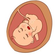 胎儿在肚子里的温度（胎儿在肚子里的温度是多少）