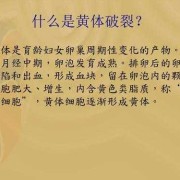 什么是黄体破裂,孕期黄体破裂是怎么回事