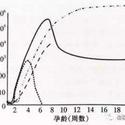孕期hcg变化曲线（孕期hcg变化曲线图）