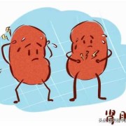 胎儿双肾集合部分离（怀孕七个月胎儿双肾集合系统分离是什么原因）
