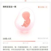怀孕79天胎儿多大图片（79天的宝宝会什么技能）