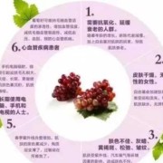 孕晚期吃葡萄对胎儿好吗（黄金蜜葡萄的优缺点）