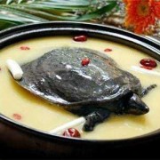 孕期吃甲鱼（孕期吃甲鱼有影响吗）