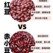 孕妇可以吃红小豆吗,孕期可以吃红豆吗?
