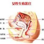 孕期阴唇瘙痒（孕期外阴瘙痒的怎么办）