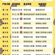 孕期九周（孕期九周是几个月）