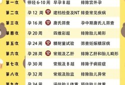 孕期九周（孕期九周是几个月）