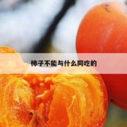 孕妇吃柿子对胎儿有影响吗（柿子不能和什么食物一起吃）