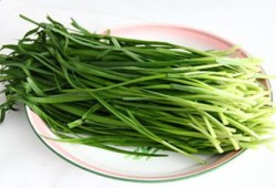 孕期吃韭菜好吗（孕期吃韭菜好吗有营养吗）