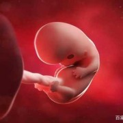 胚胎停育有什么症状,孕早期胎儿停育有什么症状