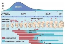 染色体正常胎儿畸形什么原因,胎儿出现畸形的原因有哪些