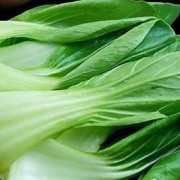 孕妇吃油菜对胎儿好吗（孕妇吃油菜对胎儿好吗有影响吗）