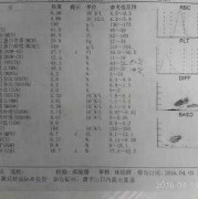 孕期血检单（孕期血检单核细胞计数偏高）