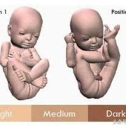 一个男生叫你孩子是什么意思,是不是胎儿面对面对着妈妈都是女孩