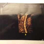 胎儿半椎体必须引产吗？孕中期时候了，要怎么处理安全啊,胎儿半椎体是什么意思