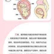 孕33周宝宝偏小一周怎么办,孕晚期胎儿小一周正常吗